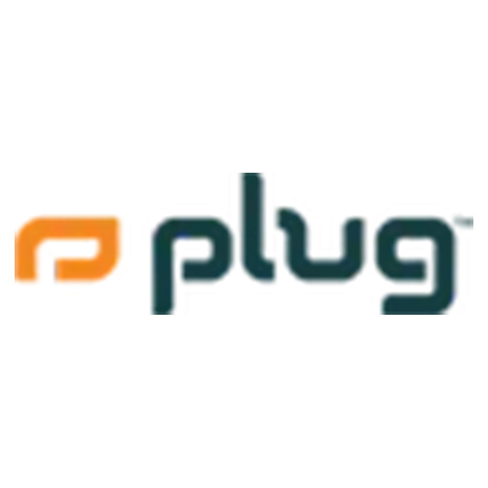 Plug